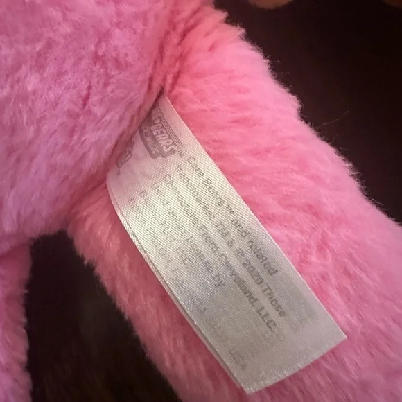 Care Bears set of two Tenderheart and Cheer bear 2020 16” - Picture 4 of 10